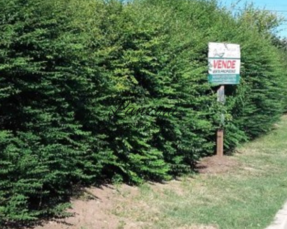 PROPIEDAD EN VENTA CON INTERESANTE AMPLITUD DE ESPACIO VERDE - Cód. LBR110CAS 