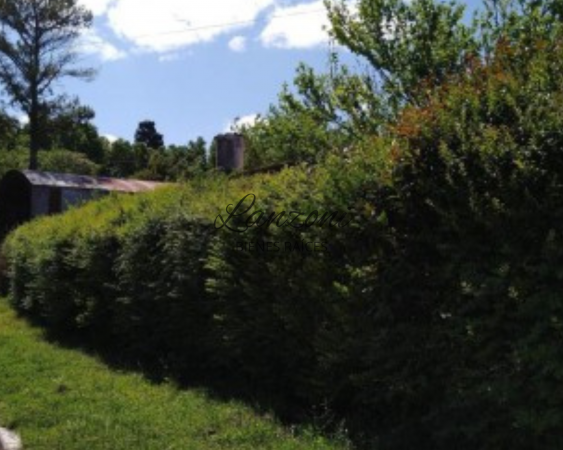 PROPIEDAD EN VENTA CON INTERESANTE AMPLITUD DE ESPACIO VERDE - Cód. LBR110CAS 